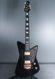 2019 Ernie Ball Music Man Mariposa Deluxe Imperial Black For Cheap