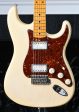 2017 Fender Custom Shop Masterbuilt Jason Smith Michael Landau Stratocaster on Sale