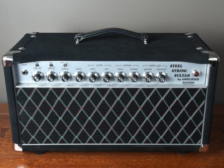 2019 Amplified Nation Steel String Sultan 100 Watt Head Online Sale