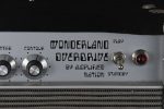 2019 Amplified Nation Wonderland Overdrive 50 Watt 1x12 Combo Sale