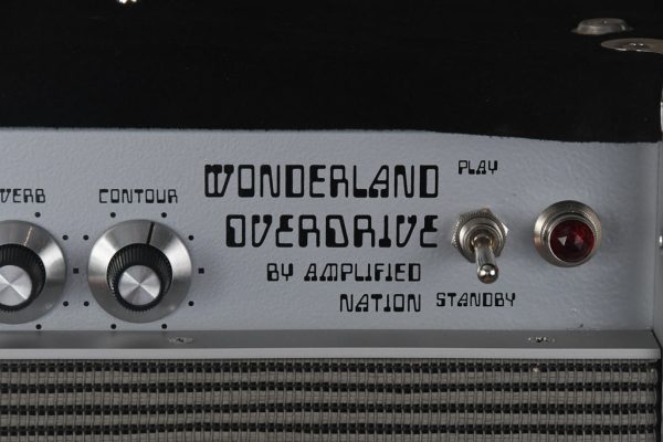 2019 Amplified Nation Wonderland Overdrive 50 Watt 1x12 Combo Sale