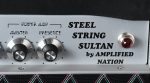 2019 Amplified Nation Steel String Sultan 100 Watt Head Online Sale