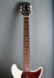 2011 Collings 290 DC S Transparent White For Discount