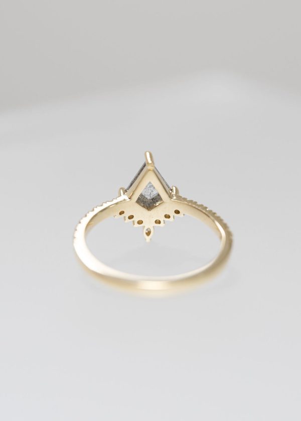 The Stella | .88ct Kite Salt & Pepper | Yellow Gold For Cheap