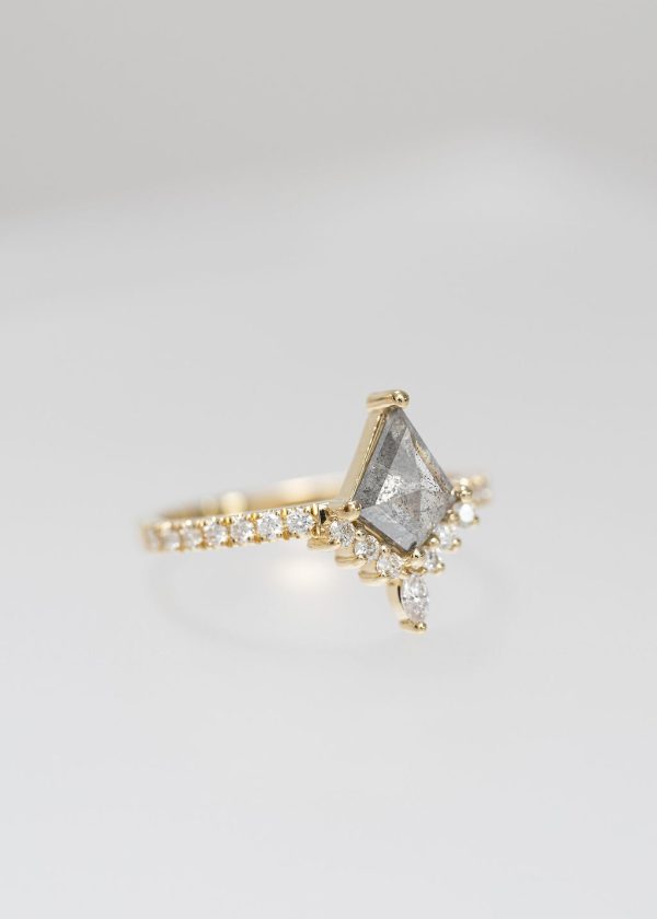 The Stella | .88ct Kite Salt & Pepper | Yellow Gold For Cheap