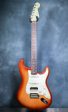 2019 Fender American Professional Stratocaster HSS Shawbucker Siena Burst For Cheap