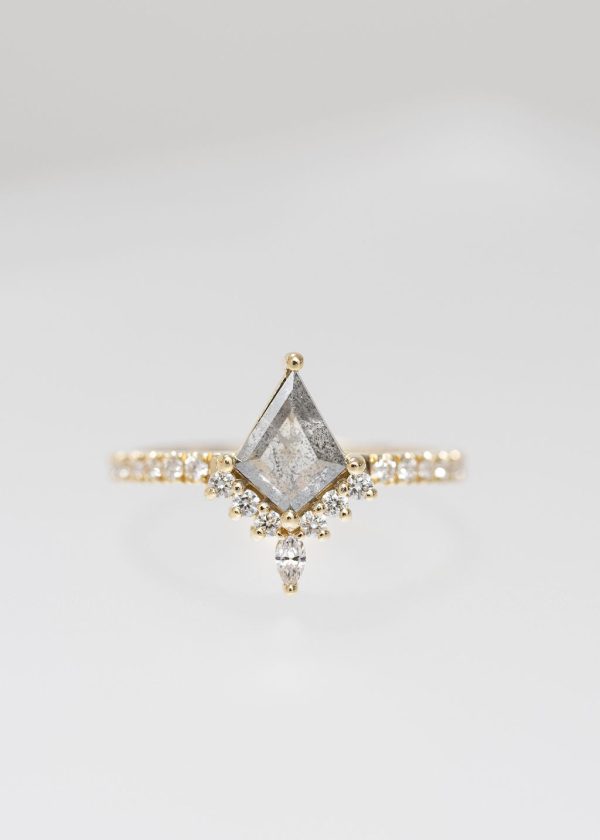 The Stella | .88ct Kite Salt & Pepper | Yellow Gold For Cheap