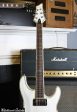 2004 Schecter C1 Elite Diamond Series White For Sale